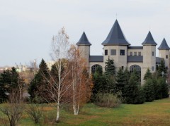 OLYMPUS DIGITAL CAMERA