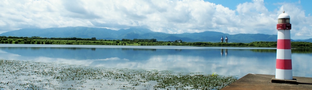 砂川市議会議員　たけだしん（武田真）