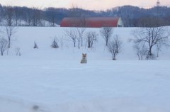 IMGP0031_1 (640x420) (2)