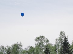 IMGP9153 (640x480) (2)