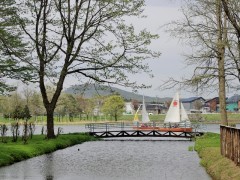 IMGP9280 (640x480) (2)