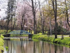 Ｈ２８北光公園