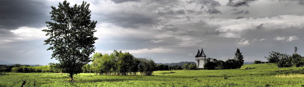砂川市議会議員　たけだしん（武田真）