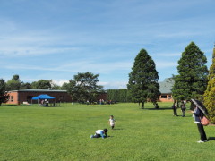 OLYMPUS DIGITAL CAMERA