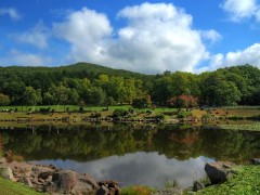 fftsolver_188-640x480