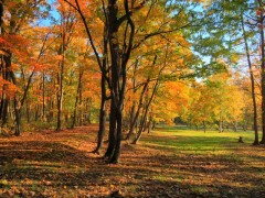 20161018ishiyamahd-640x479