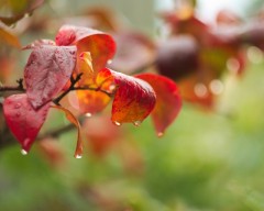 imgp0125-1-1s-640x512