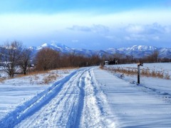 fftsolver_15-640x481