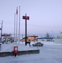 IMG_20170124_164225 (1) (638x640)