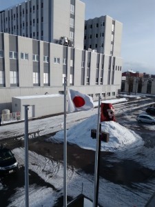 IMG_20170214_143341 (480x640)