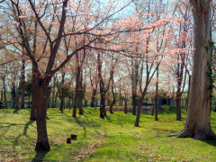 untitled_pregamma_1.3_drago_bias_0.85