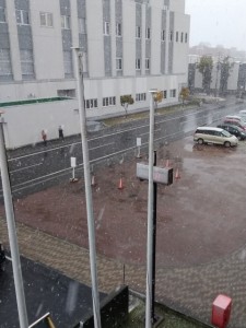 IMG_20171023_094552 (480x640)